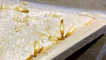 Screenshot 2023-04-09 at 12-19-34 Photo Editor Fotor – Free Online Photo Editing Image Editor